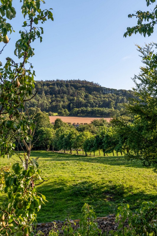 View from first floor of house across fields and woodland